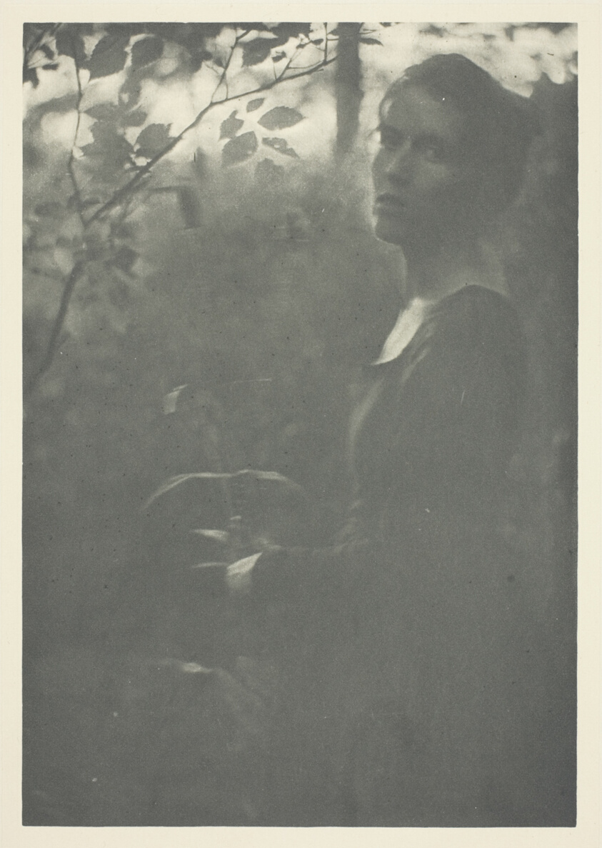 Edge of Woods, No. 10 from the portfolio "American Pictorial Photography, Series II” (1901); edition 34/150