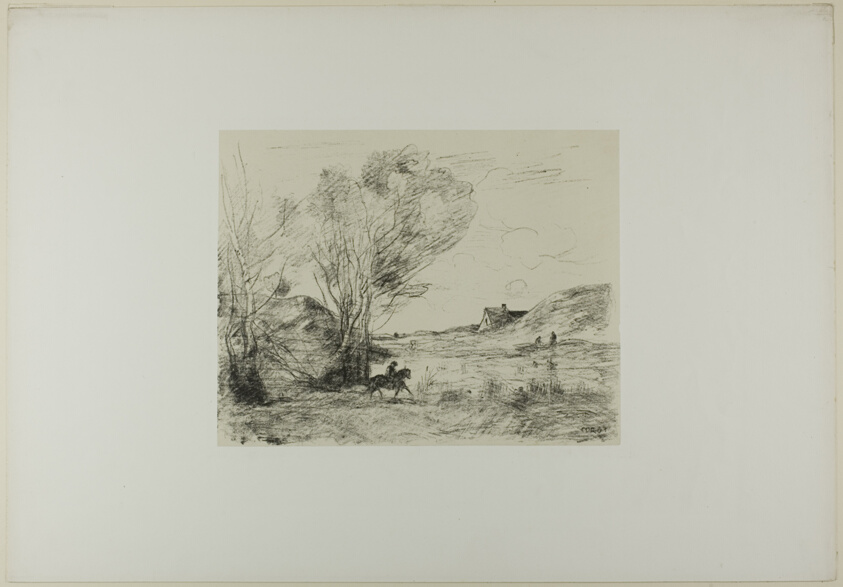 The Rider in the Reeds