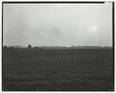 Illinois Landscape