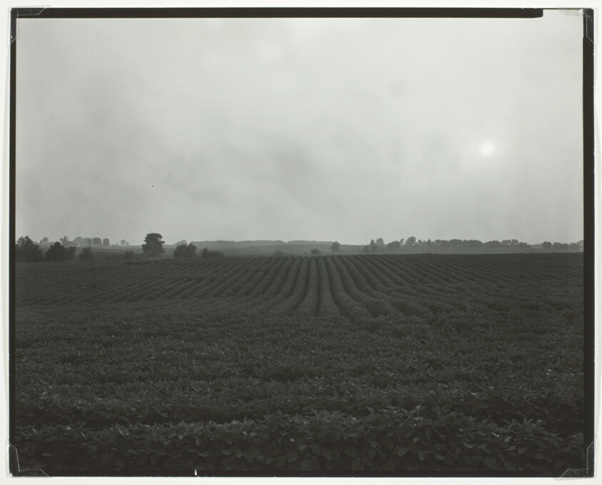 Illinois Landscape