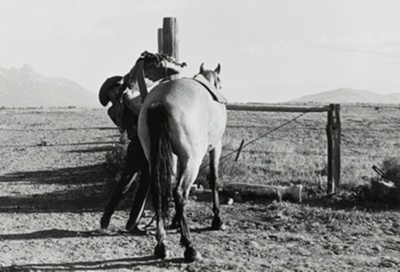 Cowboy and Horses, Jackson Hole