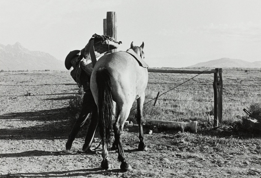 Cowboy and Horses, Jackson Hole