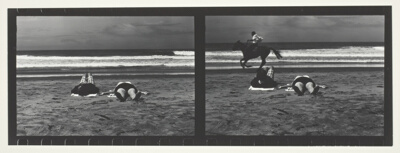 Horse on the Seashore, San Francisco