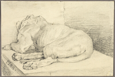 Reclining Lion, From Back