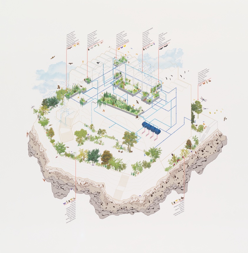 Reggio School, Water Reclamation and Transspecies Reparation Nodes