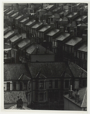 Windswept Roofs, London
