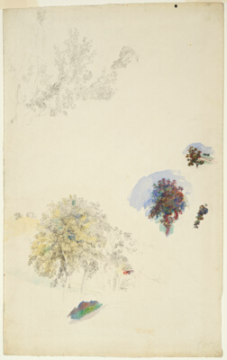 Studies of Trees and Foliage