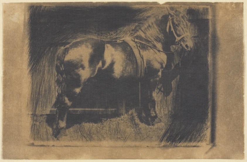 The Horse