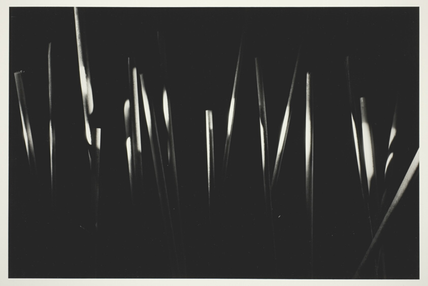 Light Experiment: Wooden Dowels, Chicago