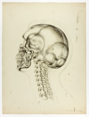 Plate from Interior Landscape