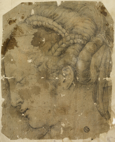 Female Head in Profile to Left
