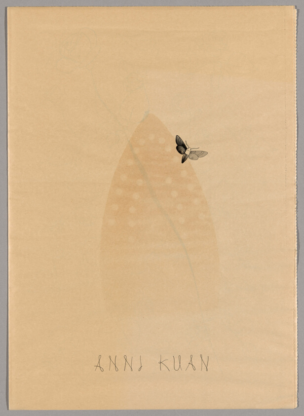 Anni Kuan, Iron