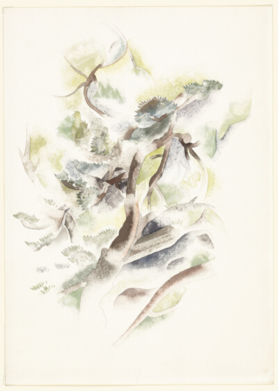Tree Forms No. 3 (recto); Hilly Landscape with Clouds (verso)