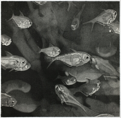 School of Fish, from 1776 USA 1976: Bicentennial Prints