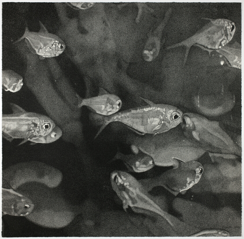 School of Fish, from 1776 USA 1976: Bicentennial Prints