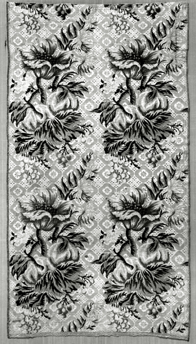 Panel