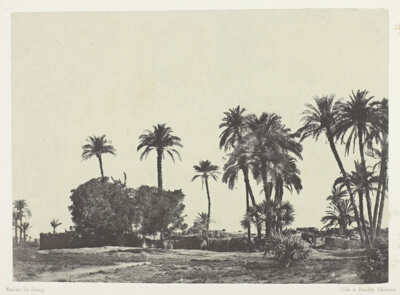 Village de Hamameh, Haute-Egypte, plate 21 from the album "Egypte, Nubie, Palestine et Syrie" (1852)