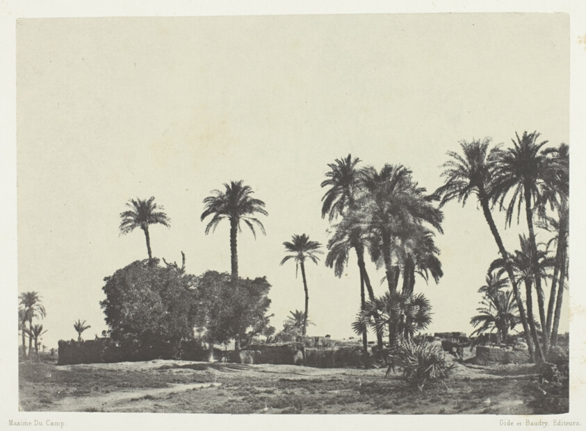 Village de Hamameh, Haute-Egypte, plate 21 from the album "Egypte, Nubie, Palestine et Syrie" (1852)