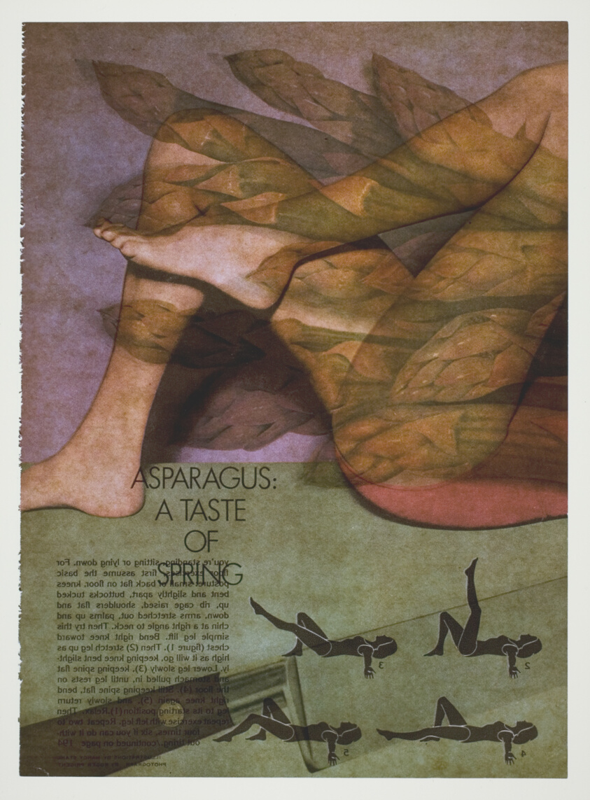 Recto/Verso #3