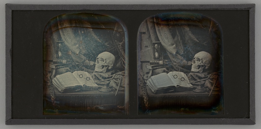 Untitled (Memento Mori Still Life)