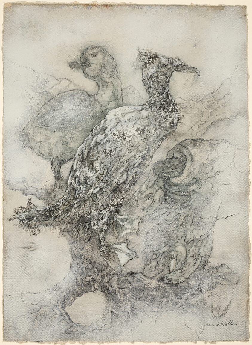 Birds in a Landscape