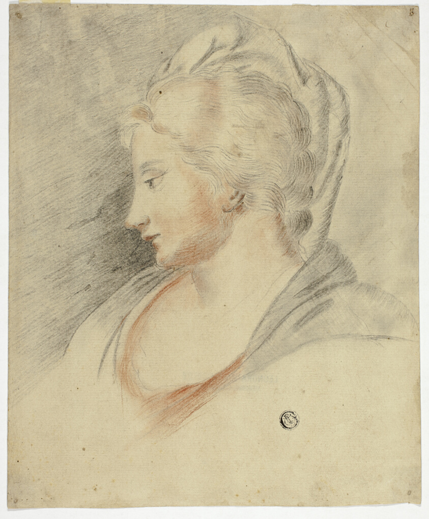 Profile Portrait of Woman