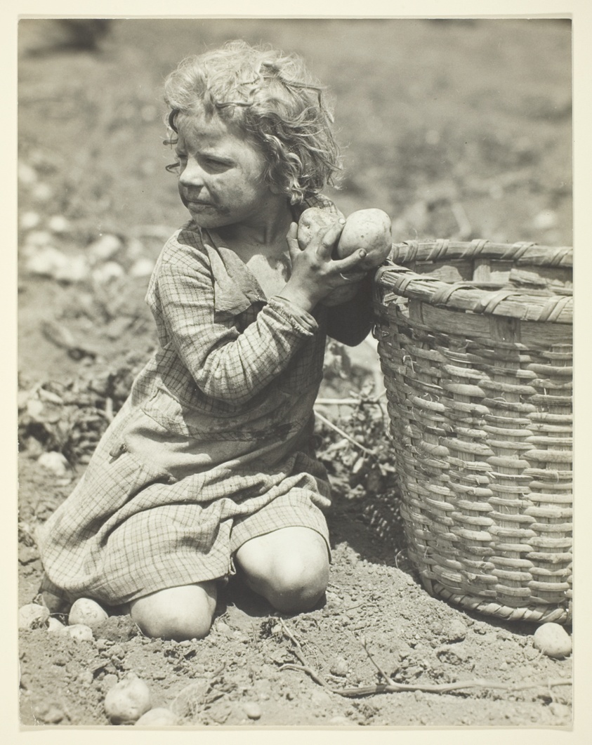 Child Labor on the Farm