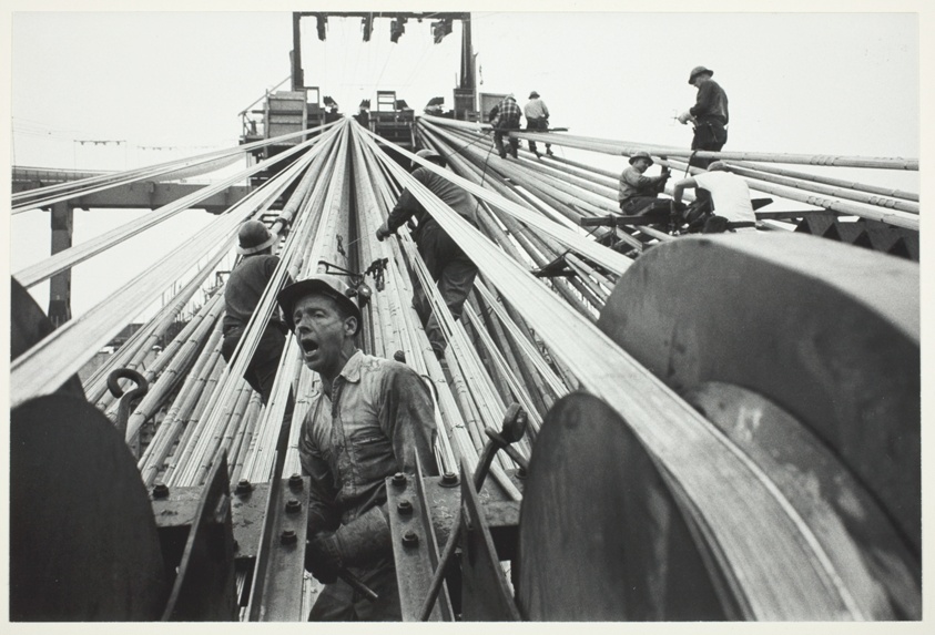 Wire Race, from the series "The Bridge"