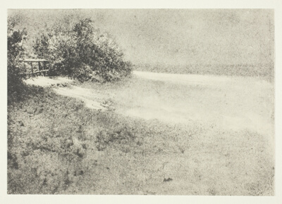 Hedgerow under the snow. Villers
