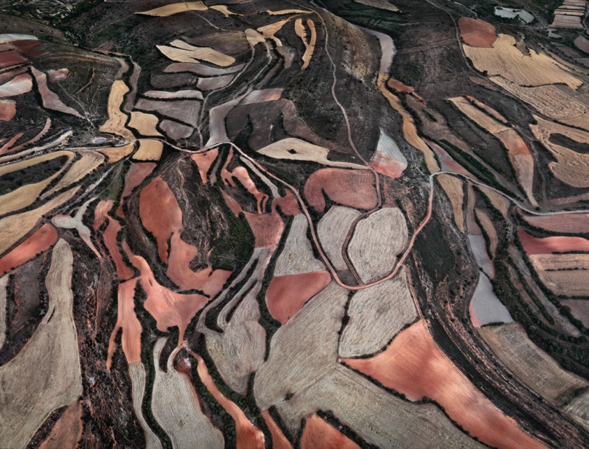 Dryland Farming #24, Monegros County, Aragon, Spain