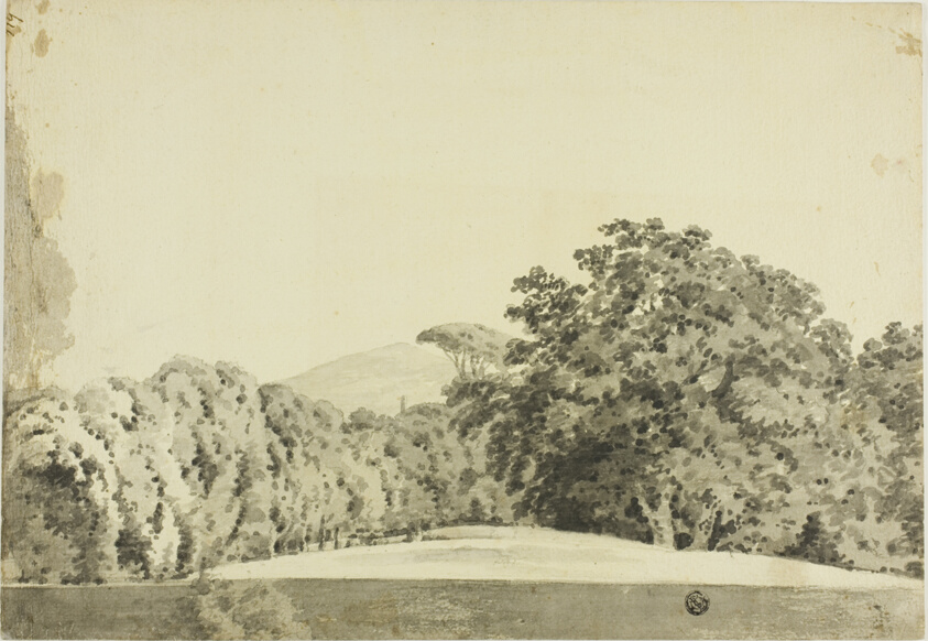 Wooded Landscape