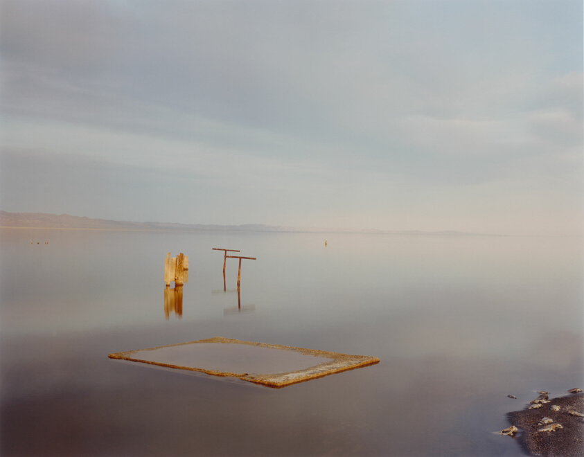 Dead Fish, Salton Sea, from the series "Desert Cantos III: The Flood"