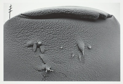 Snowbank II