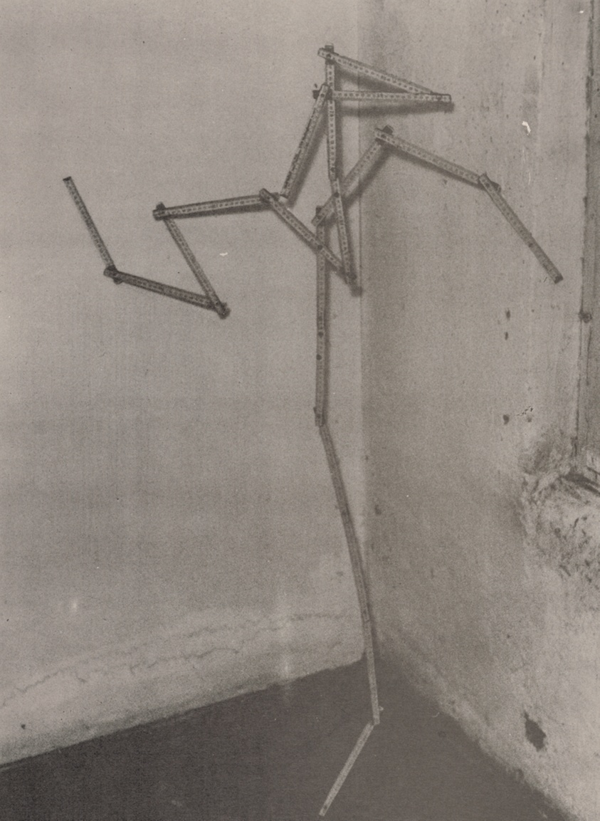 Yardstick Palm (Zollstockpalme), from the portfolio "Higher Beings Command (Höhere Wesen befehlen)"