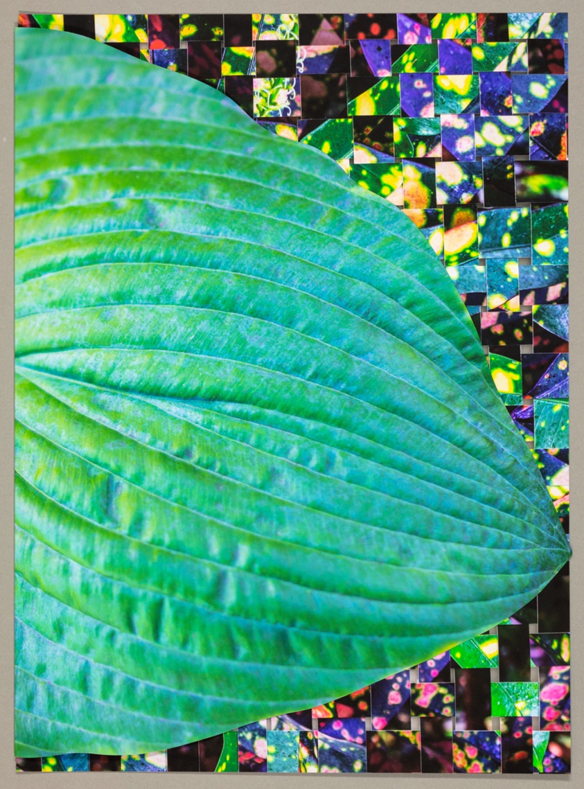 Cuttings