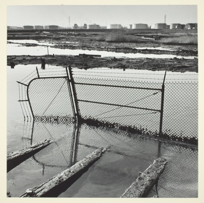 Swamp, Bayway Refinery, Linden, NJ