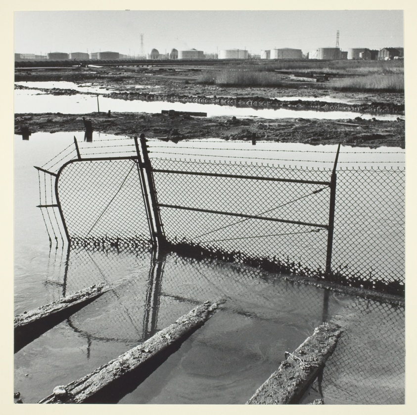 Swamp, Bayway Refinery, Linden, NJ