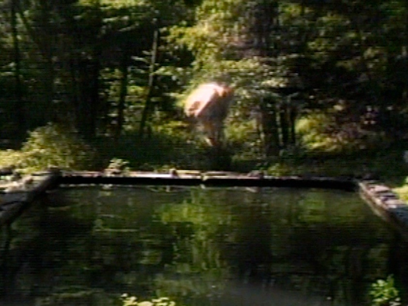 The Reflecting Pool: Collected Works