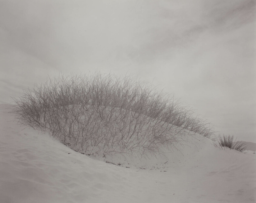 White Sands, New Mexico