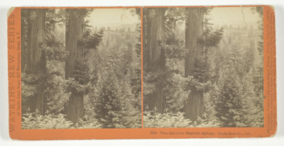 Vine Hill from Magnetic Springs. Santa Cruz Co., Cal. , No. 5024 from the series "Watkins' New Series"