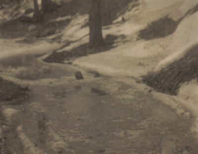 Winter Landscape