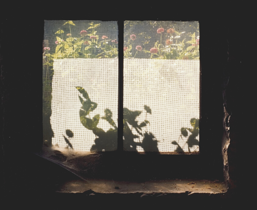 797 Potomac Avenue, Buffalo, New York, from the series "Picture Windows"