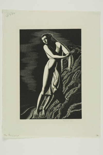 The Precipice