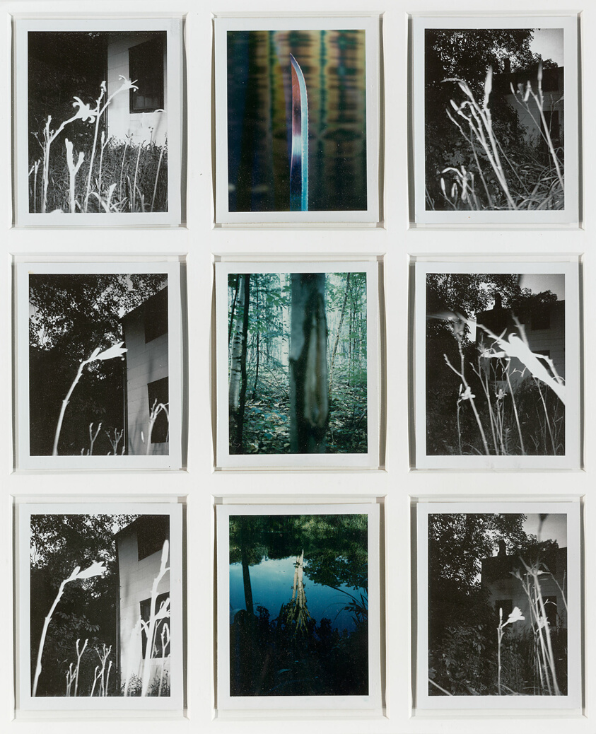 AutoPolaroids