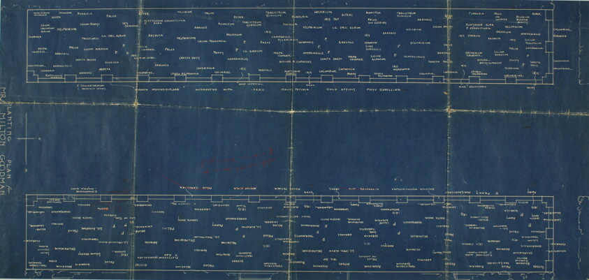 Milton and Sadie Goodman House, Glencoe, Illinois, Planting Plan