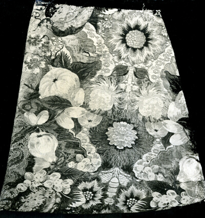 17 Fragments