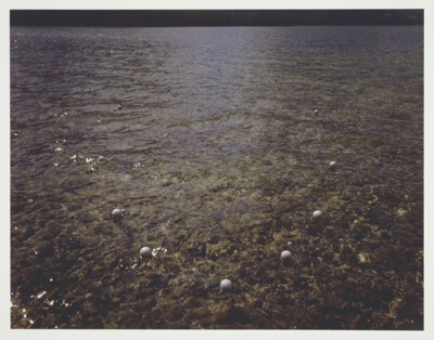 Leigh Lake Circle, Grand Teton National Park, Wyoming