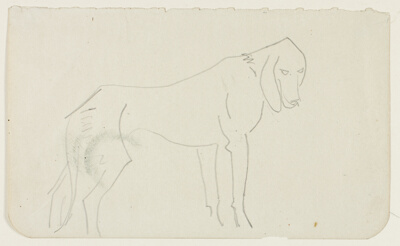 Standing Dog