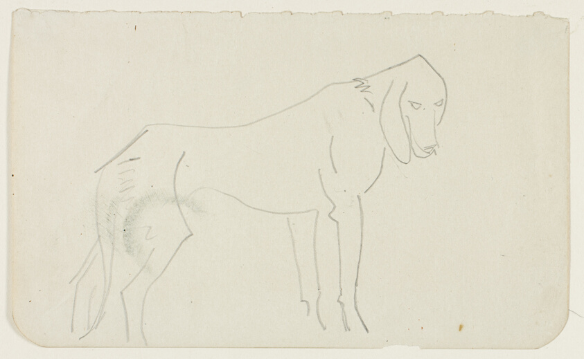 Standing Dog