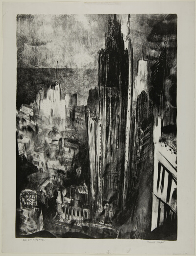 View from a Skyscraper